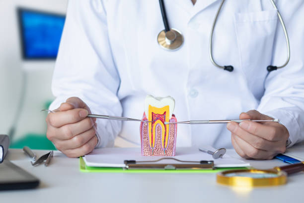 Best Emergency Broken Tooth Repair in Wild Peach Village, TX